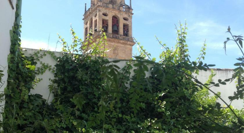 Entre 2 Mezquitas Apartamento 8 Кордова Екстер'єр фото